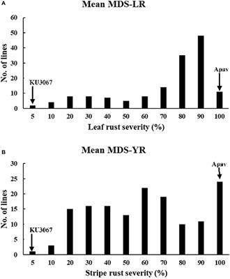 Identification and Characterization of Resistance Loci to Wheat Leaf Rust and Stripe Rust in Afghan Landrace “KU3067”